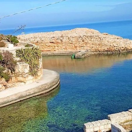 Albachiara Seaview Villa Polignano Polignano a Mare Εξωτερικό φωτογραφία